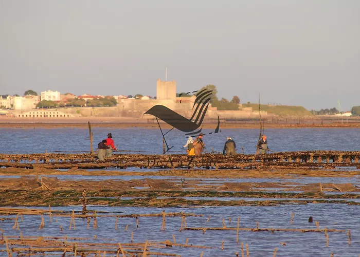 L'impasse Des Vagues - Confort Proche Des Plages Semesterbostad Fouras